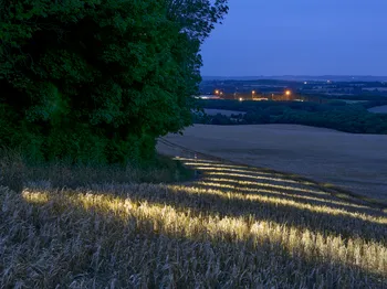Light painting fields at night (5).jpg